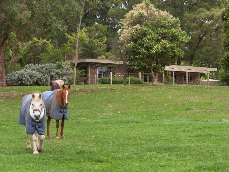 68 Shoreham Rd, Red Hill VIC 3937