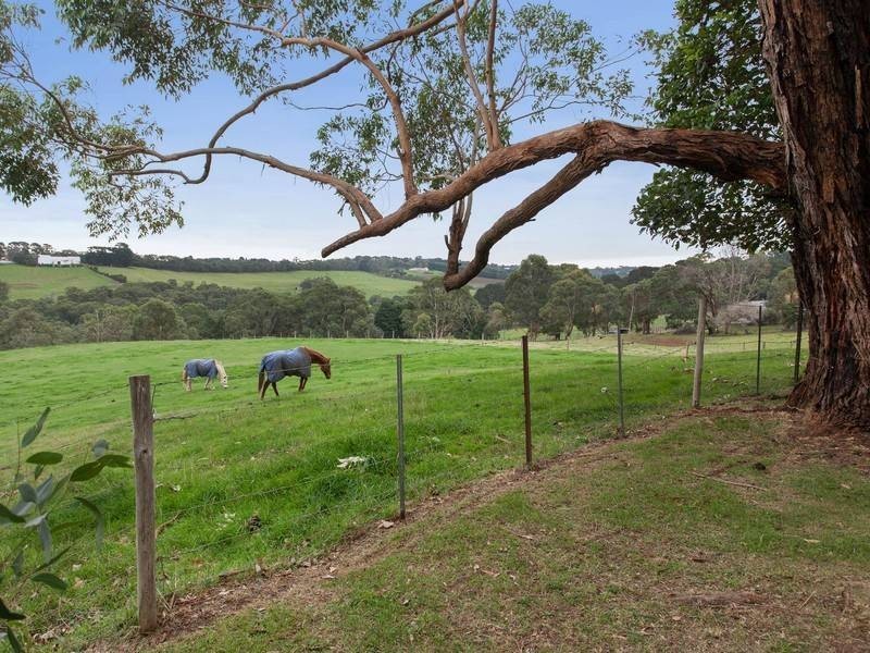 68 Shoreham Rd, Red Hill VIC 3937