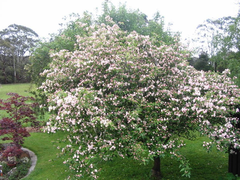 134 Purves Road, Arthurs Seat VIC 3936