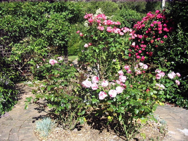 134 Purves Road, Arthurs Seat VIC 3936