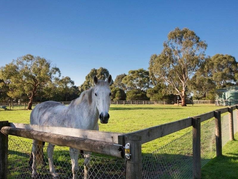 130 Graydens Road, Moorooduc VIC 3933