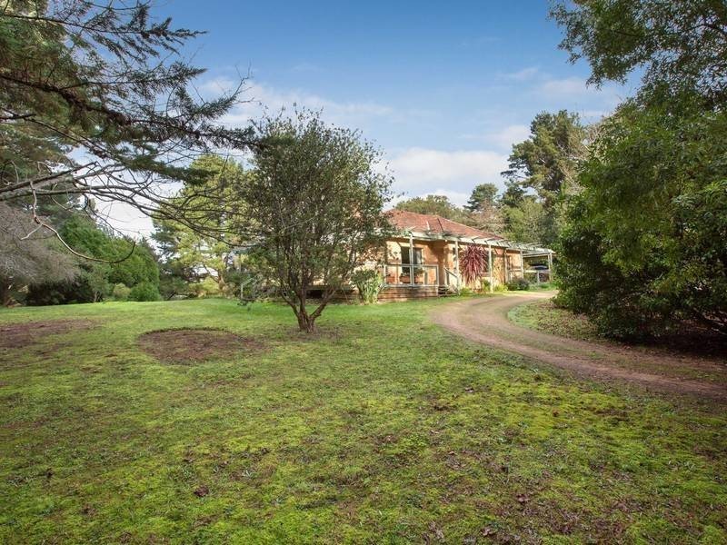 41 Callanans Road, Red Hill VIC 3937