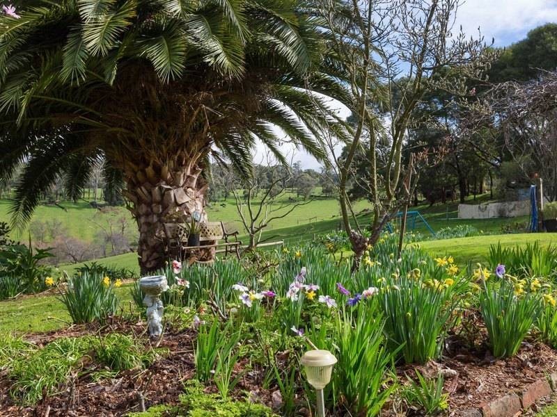 66 Prossors Lane, Red Hill VIC 3937