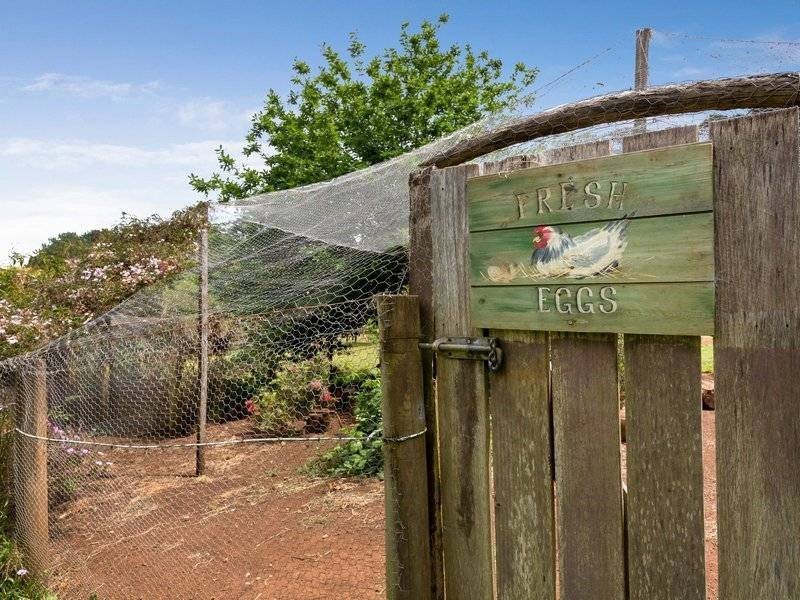 3 Beaulieu Road, Red Hill VIC 3937