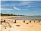 13 Hansens Lane, Balnarring Beach VIC 3926
