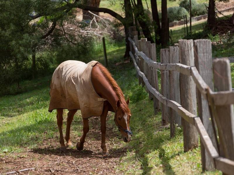 21 Beaulieu Road, Red Hill VIC 3937