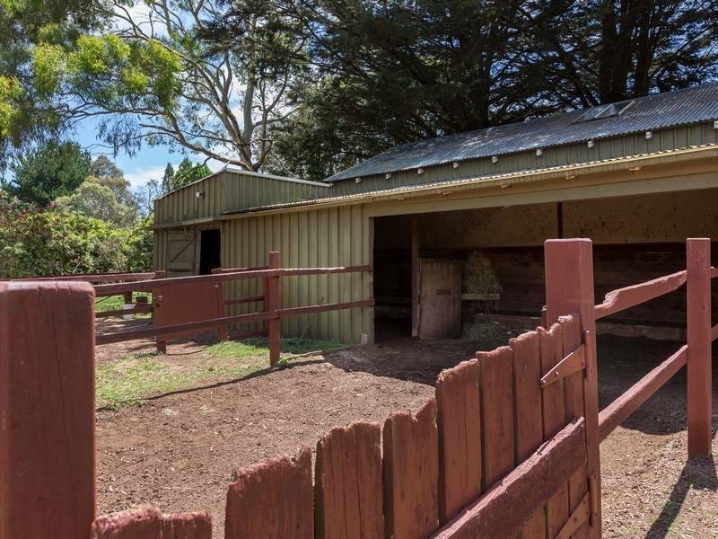 21 Beaulieu Road, Red Hill VIC 3937