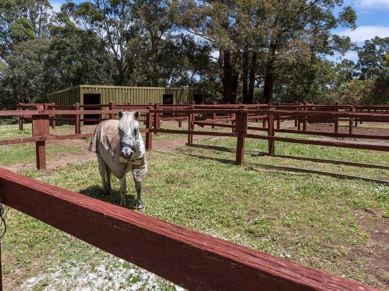 21 Beaulieu Road, Red Hill VIC 3937