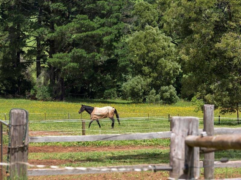 21 Beaulieu Road, Red Hill VIC 3937