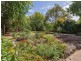 19 Steen Ave, Shoreham VIC 3916