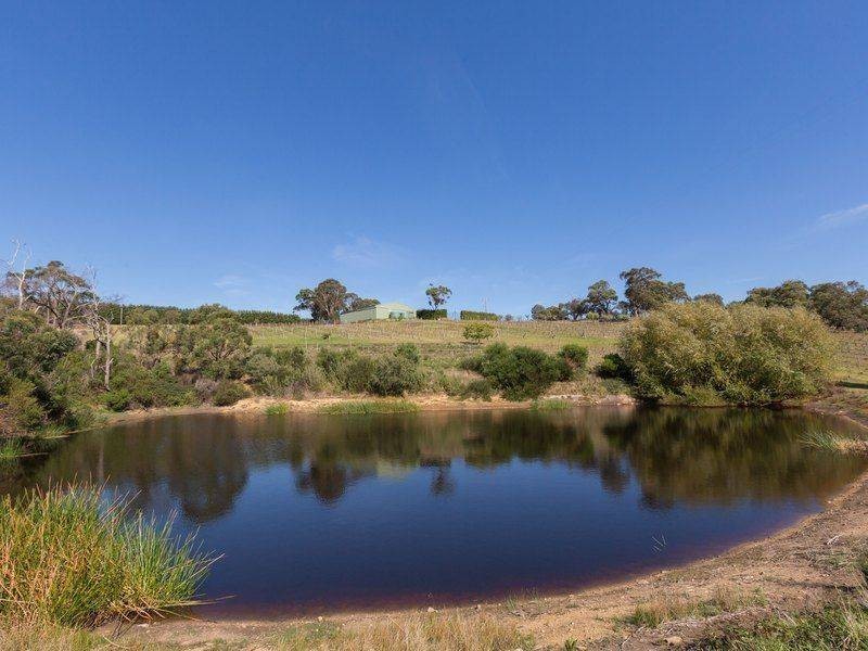 150 Jones Road, Rosebud VIC 3939