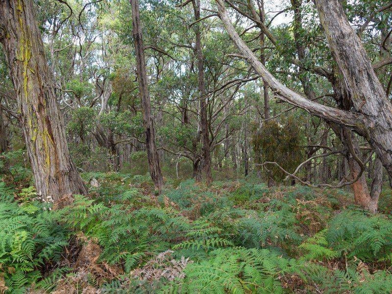 13 Tubbarubba Road, Merricks North VIC 3926