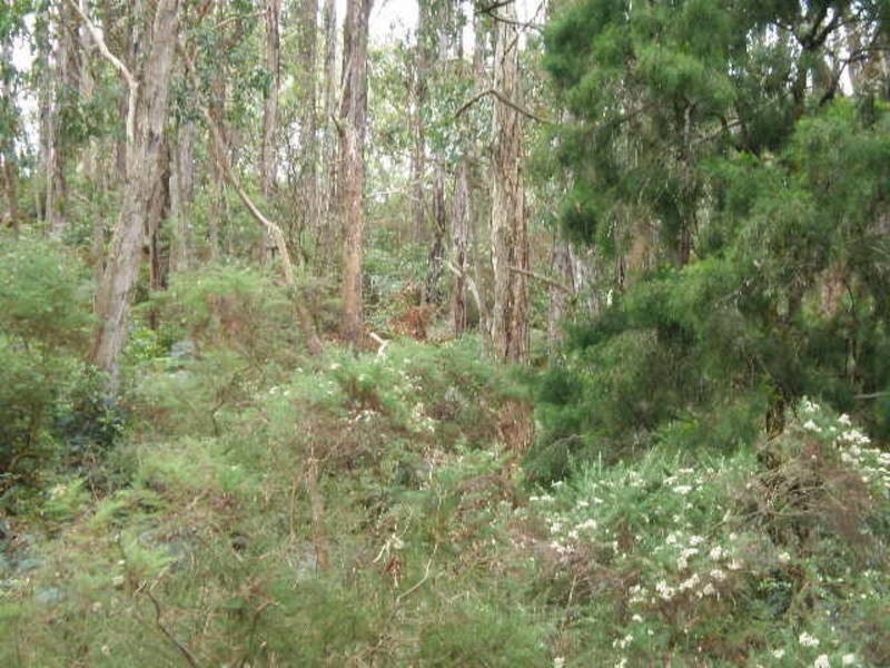 13 Tubbarubba Road, Merricks North VIC 3926