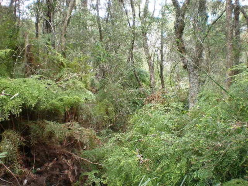 13 Tubbarubba Road, Merricks North VIC 3926