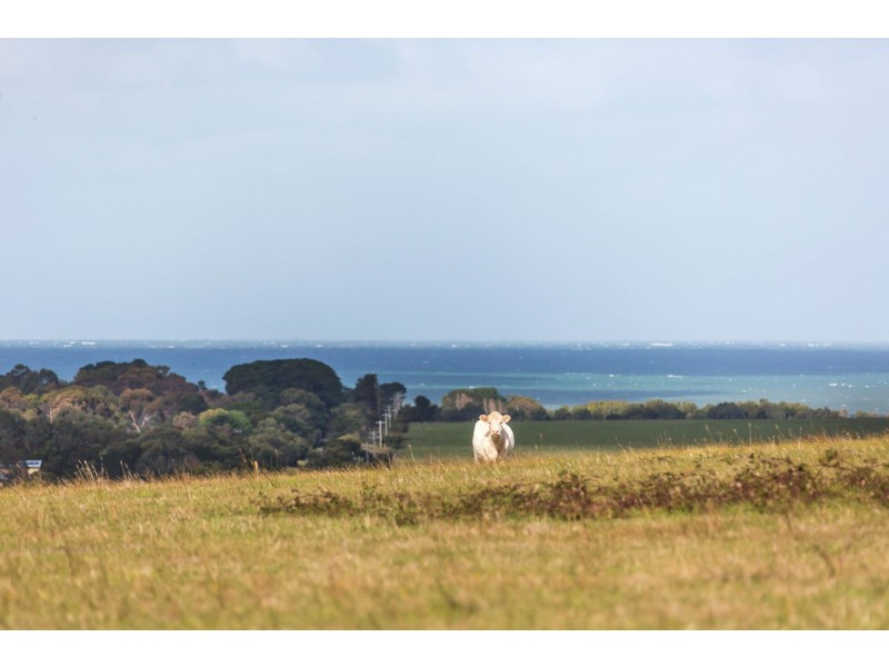 3 Stanleys Road, Balnarring VIC 3926