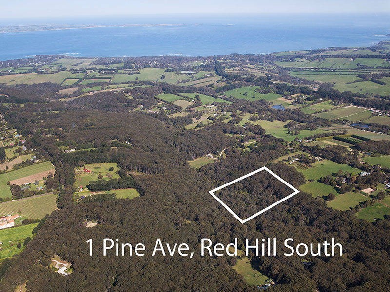 1 Pine Avenue, Red Hill VIC 3937