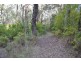 1 Pine Avenue, Red Hill VIC 3937