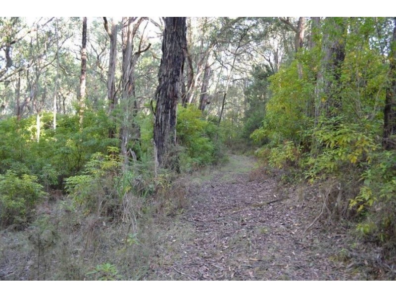 1 Pine Avenue, Red Hill VIC 3937