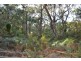 1 Pine Avenue, Red Hill VIC 3937