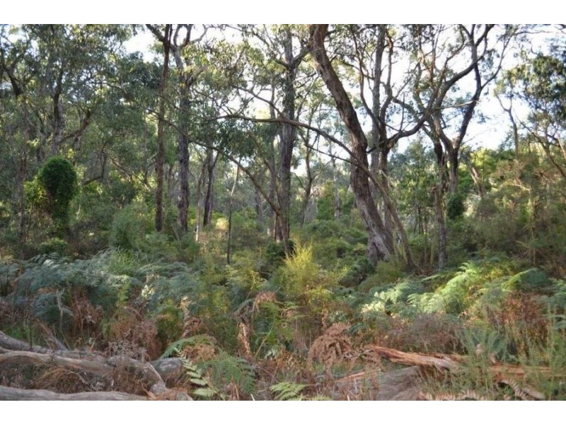 1 Pine Avenue, Red Hill VIC 3937
