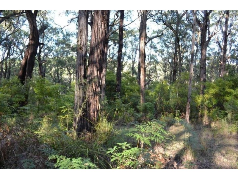 1 Pine Avenue, Red Hill VIC 3937