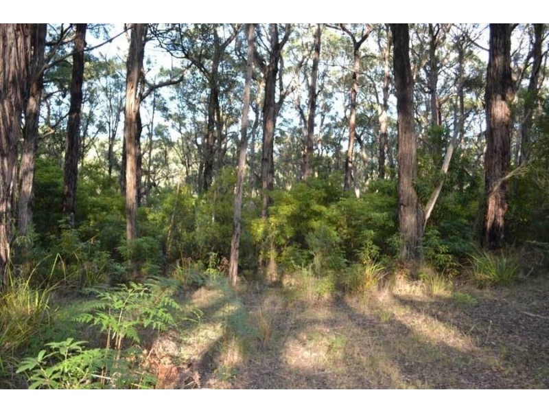 1 Pine Avenue, Red Hill VIC 3937