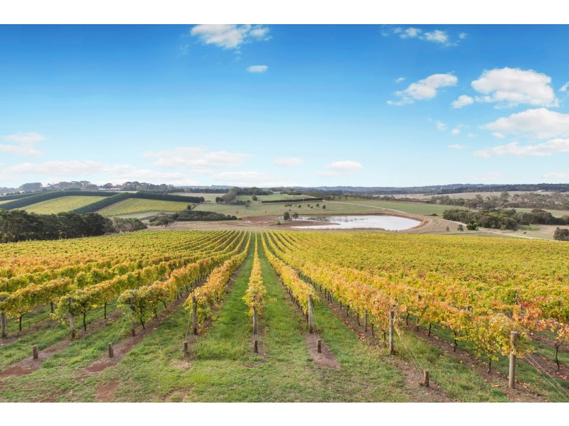 20 Stanleys Road, Merricks North VIC 3926