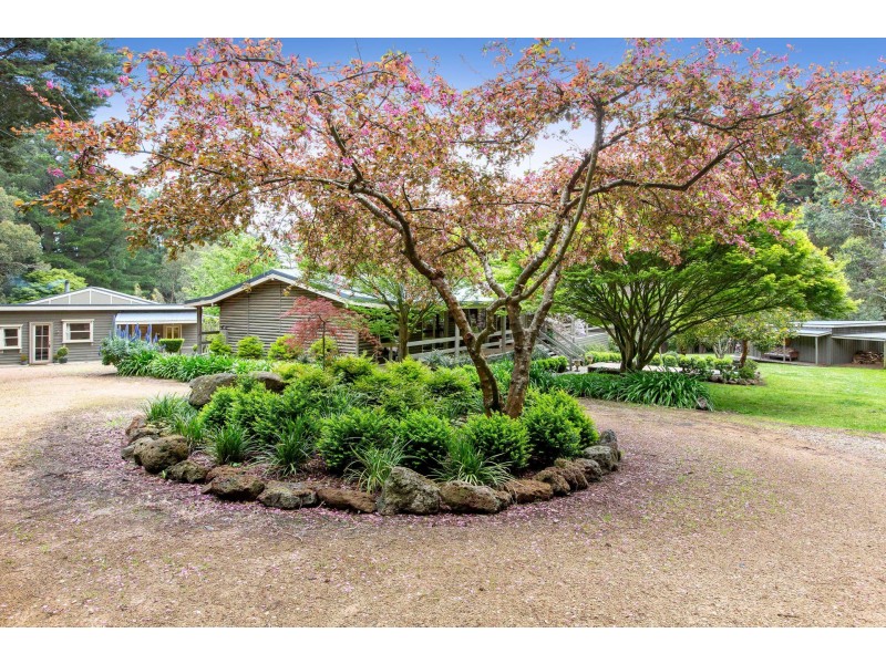 40  Baynes Road, Red Hill VIC 3937