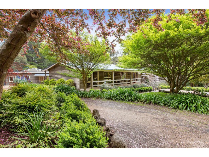 40  Baynes Road, Red Hill VIC 3937