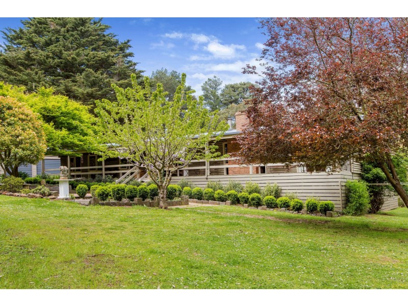 40  Baynes Road, Red Hill VIC 3937
