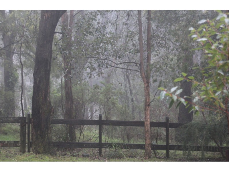 13 Marma Avenue, Red Hill VIC 3937