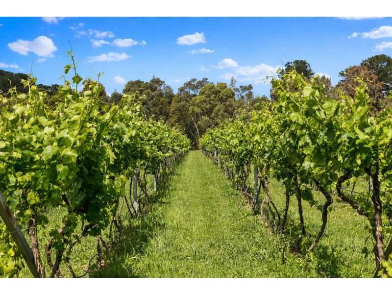 2910 Frankston Flinders Rd, Balnarring VIC 3926