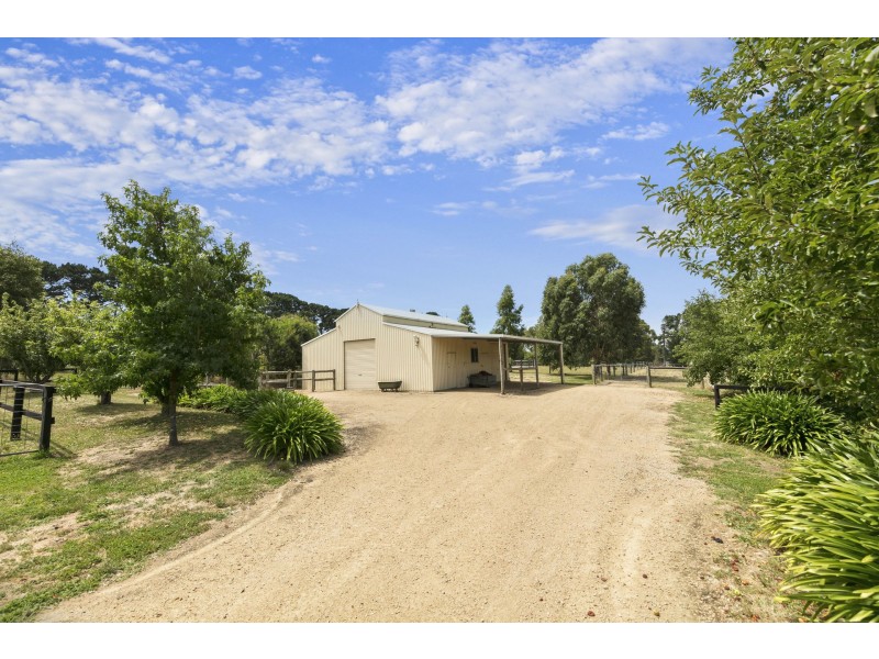 283 Hodgins Road, Tuerong VIC 3915