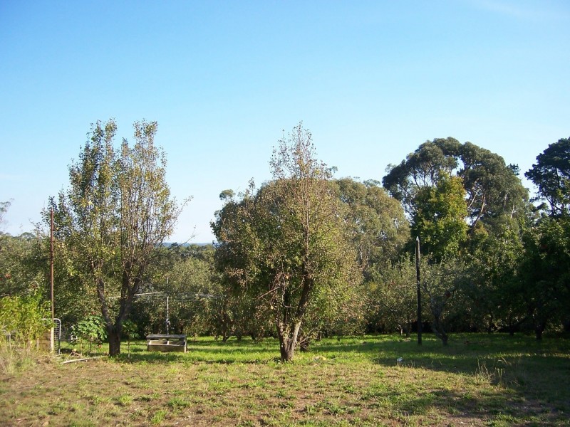 381 Arthurs Seat Rd, Red Hill VIC 3937