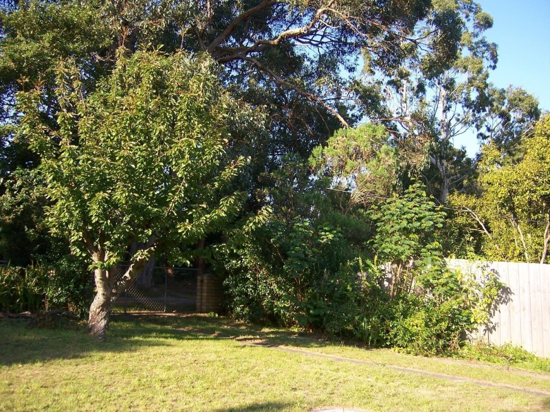 381 Arthurs Seat Rd, Red Hill VIC 3937