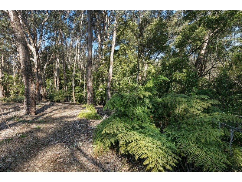 Lot 1, 2-6 Bourke Rd, Red Hill VIC 3937