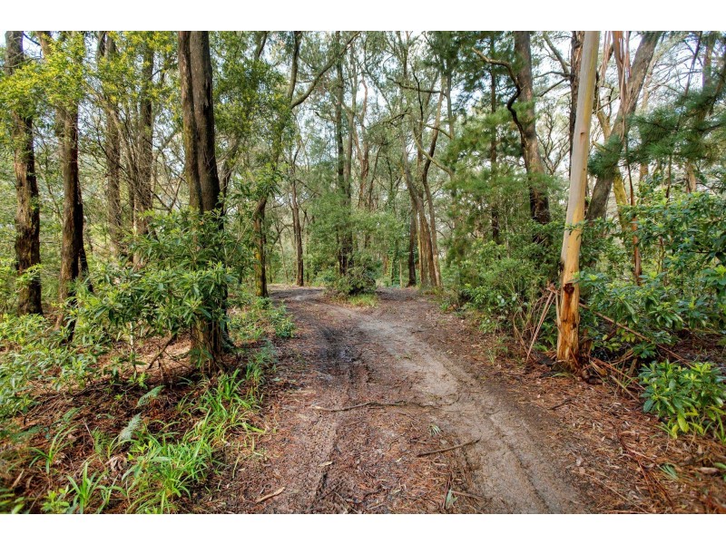 11 Shands Road, Shoreham VIC 3916