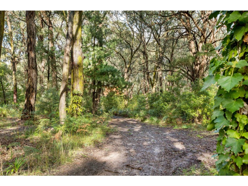 11 Shands Road, Shoreham VIC 3916