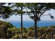 785 Tucks Road, Shoreham VIC 3916