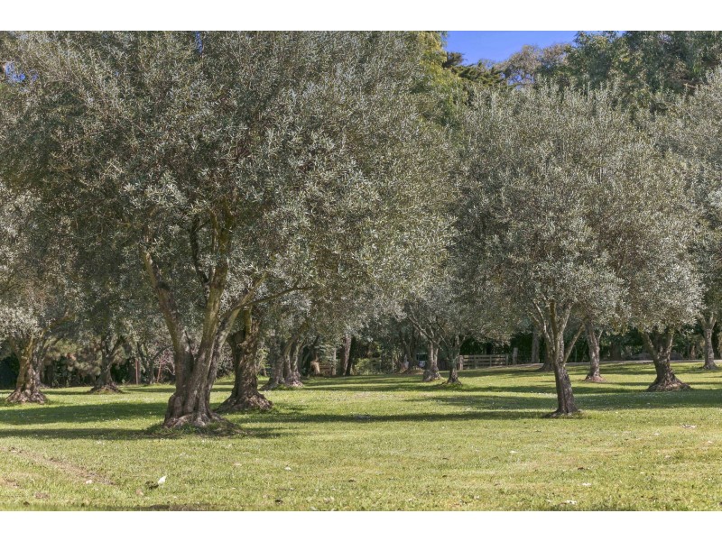 464 Musk Creek Road, Flinders VIC 3929