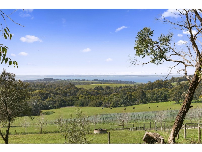 464 Musk Creek Road, Flinders VIC 3929