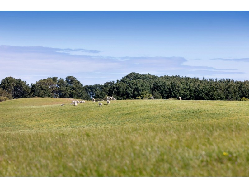 65 Long Point Road, Cape Schanck VIC 3939