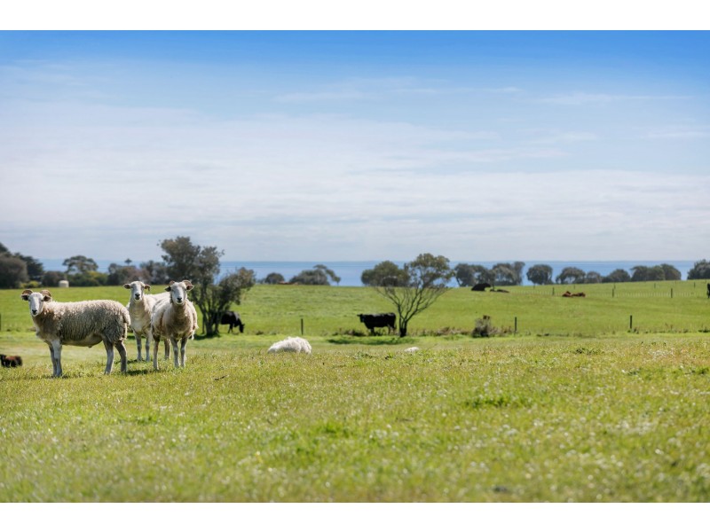 65 Long Point Road, Cape Schanck VIC 3939