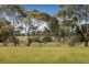 1098 Stumpy Gully Road, Moorooduc VIC 3933
