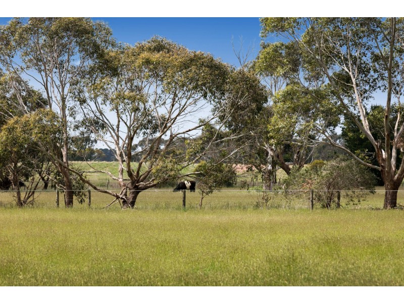 1098 Stumpy Gully Road, Moorooduc VIC 3933