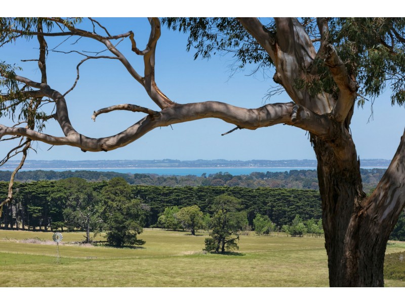 141 Balnarring Road, Balnarring VIC 3926