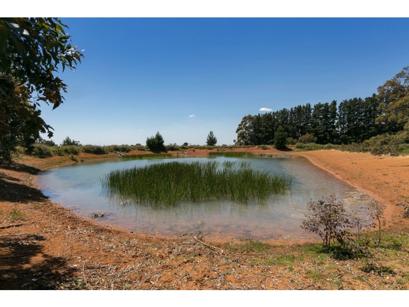 141 Balnarring Road, Balnarring VIC 3926