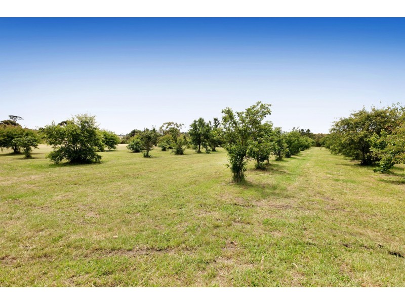 3590 Frankston Flinders Rd, Merricks VIC 3916