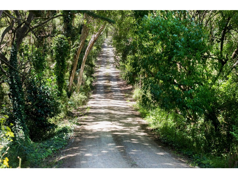 82 Shoreham Road, Red Hill VIC 3937