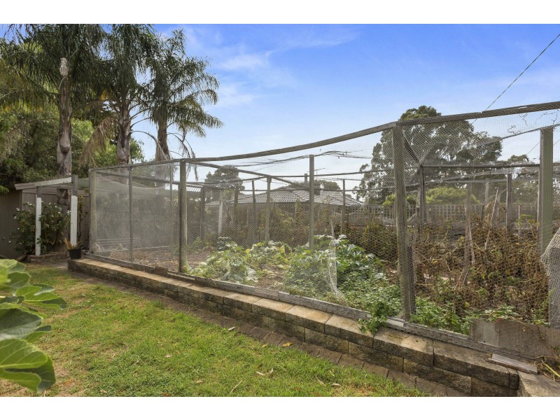 42 Stumpy Gully Road, Balnarring VIC 3926